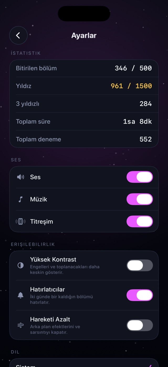 Ayarlar ekranı: istatistikler, ses ve erişilebilirlik seçenekleri