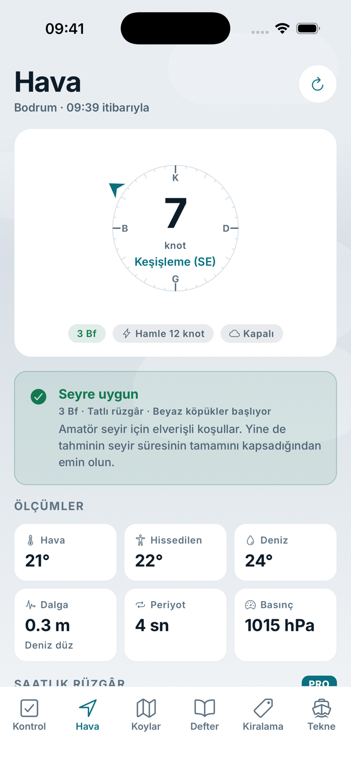 Hava ekranı: rüzgâr gülü, Beaufort kuvveti ve deniz durumu